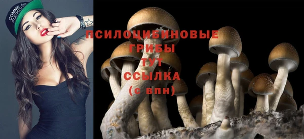 гидропоника Абдулино