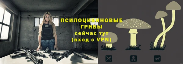 гидропоника Абдулино