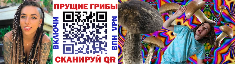 Галлюциногенные грибы прущие грибы  Сочи 