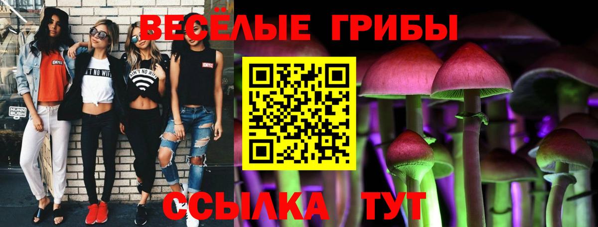 Сочи  Псилоцибиновые грибы мухоморы  Вход с VPN 
